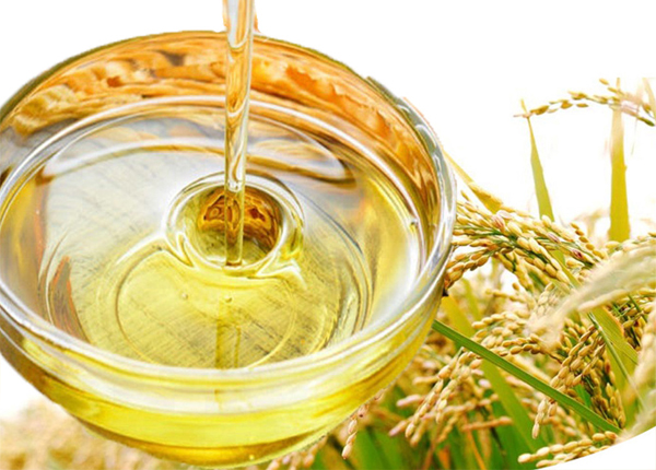 Rice bran oil.jpg