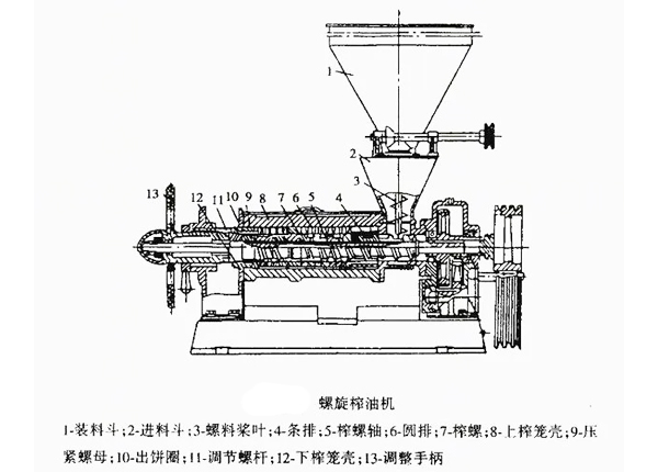 螺旋榨油机.jpg