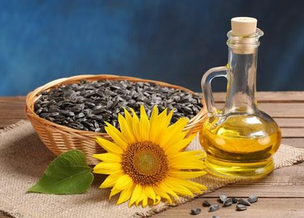 sunflower oil 5.jpg
